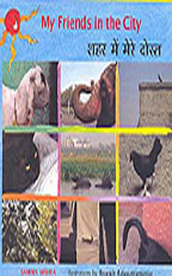 My Friends In The City (Set of 3 English+Hindi Illustrated Books)