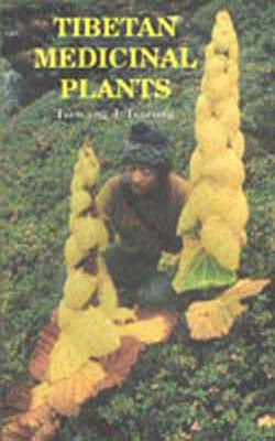 Tibetan Medicinal Plants