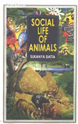 Social Life Of Animals