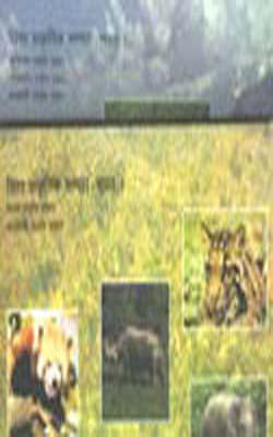 World Natural Heritage Sites:  India  ( A Set of 2 Albums)