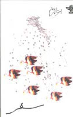 Safar   (URDU)
