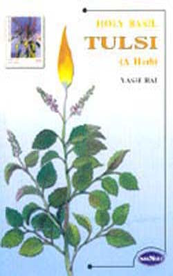 Holy Basil - TULSI : A Unique Medicinal Herb