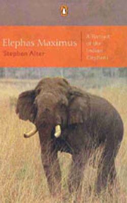 Elephas Maximus  -  A Portrait of the Indian Elephant