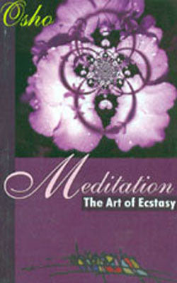 Meditation - The Art Of Ecstasy