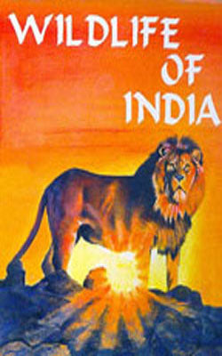 Wildlife of India