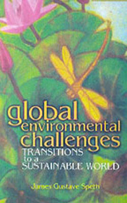 Global Environmental Challenges - Transitions to a Sustainable World