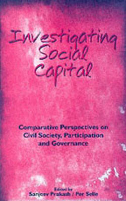Investigating Social Capital