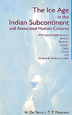 The Ice Age in the Indian Subcontinent and Associated Human Cultures