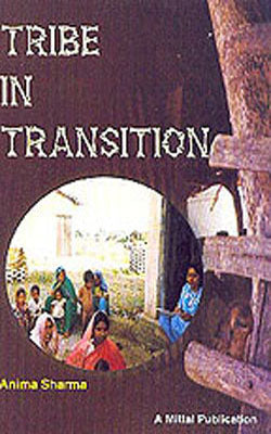 Tribe in Transition