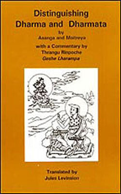 Distinguishing Dharma and Dharmata