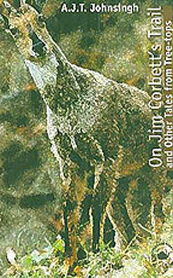 On Jim Corbett's Trail and Other Tales from the Tree-tops