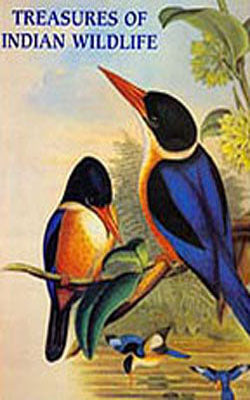 Treasures of Indian Wildlife