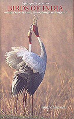 Birds of India