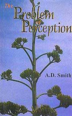 The Problem of Perception