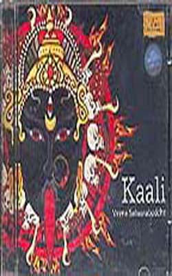 Kaali-Veena Sahasrabuddhe    (MUSIC CD)
