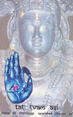 Tat Tvam Asi - Notes on Chandogya Upanisad Chapter Six