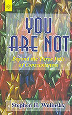 You are Not - Beyond the Three Veils of Consiousness