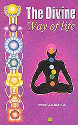The Divine Way of Life
