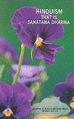 Hinduism That is Sanatana Dharma