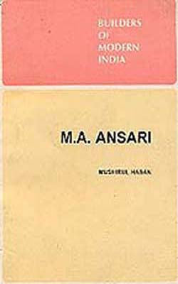 M N Ansari