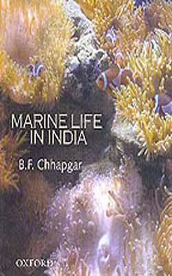 Marine Life in India
