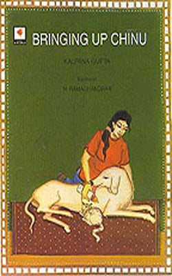 Bringing Up Chinu  & Other Stories  (Set of 7 Illustrated Books)