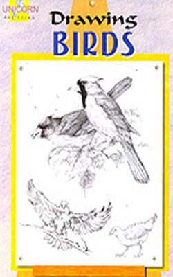 Drawings Birds