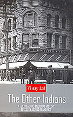 The Other Indians  -  A Political and Cultural History of South Asians in America