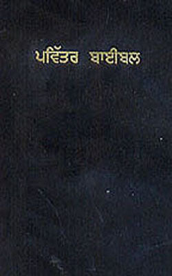 The Holy Bible   (PUNJABI)