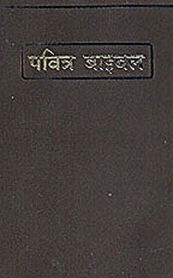 The Holy Bible    (HINDI)