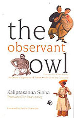 The observant Owl