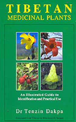 Tibetan Medicinal Plants  -  An Illustrated Guide to Identification and Practical Use