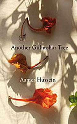 Another Gulmohar Tree