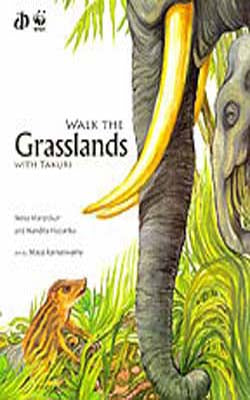 Walk the Grasslands with Takuri