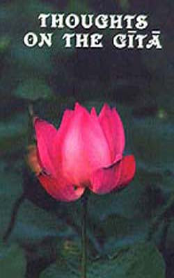 Thoughts on the Gita