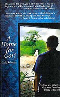 A Home For Gori  -  One Man's Moving Tribute to his Dog