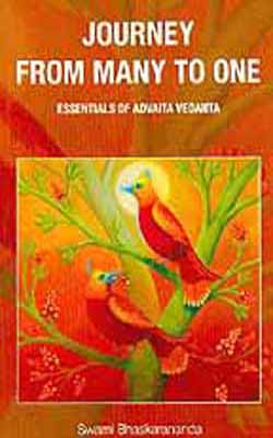 Journey from Many to One  -  Essentials of Advaita Vedanta