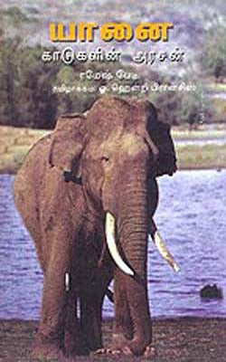 Yanai  -  Kadagalin Arsan   (TAMIL)   Elephant  -  Lord of the Jungle