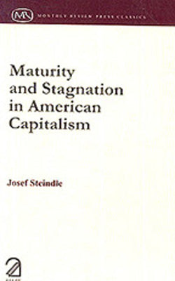 Maturity & Stagnation in American Capitalism