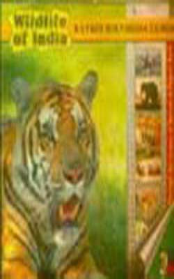 Wild Life of India  (CD-ROM)