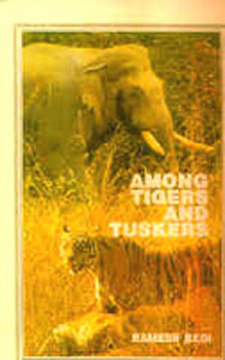 Among Tigers and Tuskers