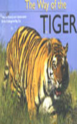 The Way of the Tiger