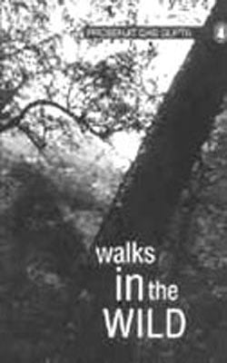 Walks in the Wild
