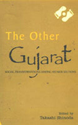 The Other Gujarat - Social Transformations Among Weaker Sections