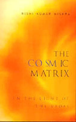 The Cosmic Matrix - In the Light of the Vedas