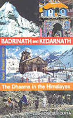 Badrinath and Kedarnath - The Dhaams in the Himalayas